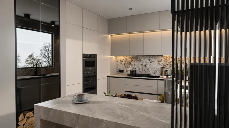 View from the living area: bright countertop, glass display cabinet and black openwork partition.